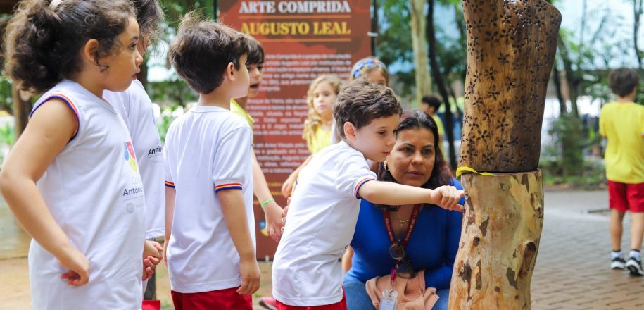 Bosque do Vieira é nova sede da ‘Ocupação Arte Comprida’, de Augusto Leal​